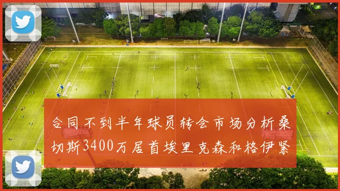 合同不到半年球员转会市场分析桑切斯3400万居首埃里克森和格伊紧随其后